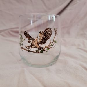 🎩Vintage Sunoco North American Wildlife Glass - Spotted Owl
